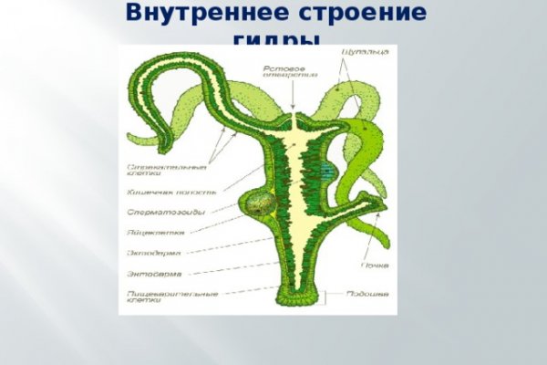 Кракен купить порошок