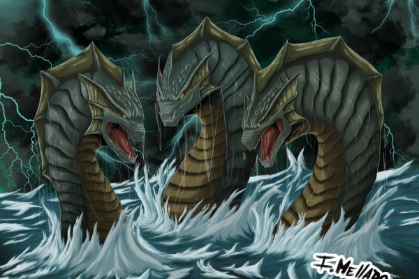 Kraken 24 top